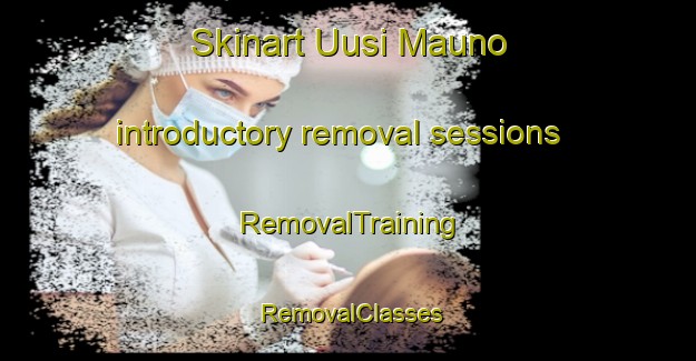 Skinart Uusi Mauno introductory removal sessions | RemovalTraining | RemovalClasses | SkinartTraining-Finland