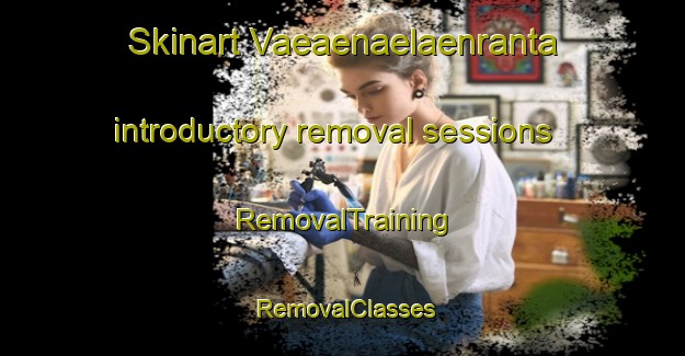 Skinart Vaeaenaelaenranta introductory removal sessions | RemovalTraining | RemovalClasses | SkinartTraining-Finland