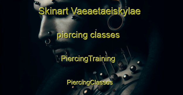 Skinart Vaeaetaeiskylae piercing classes | PiercingTraining | PiercingClasses | SkinartTraining-Finland