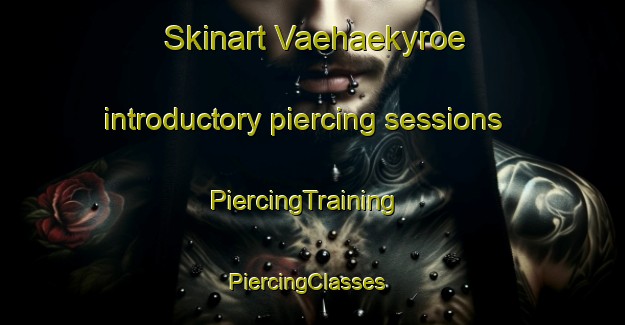 Skinart Vaehaekyroe introductory piercing sessions | PiercingTraining | PiercingClasses | SkinartTraining-Finland