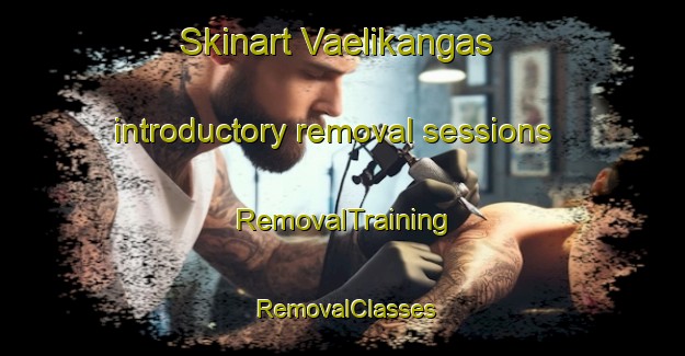 Skinart Vaelikangas introductory removal sessions | RemovalTraining | RemovalClasses | SkinartTraining-Finland