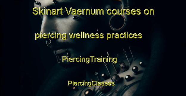 Skinart Vaernum courses on piercing wellness practices | PiercingTraining | PiercingClasses | SkinartTraining-Finland