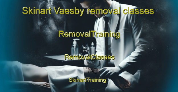 Skinart Vaesby removal classes | RemovalTraining | RemovalClasses | SkinartTraining-Finland