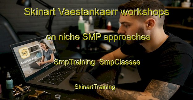 Skinart Vaestankaerr workshops on niche SMP approaches | SmpTraining | SmpClasses | SkinartTraining-Finland