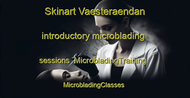 Skinart Vaesteraendan introductory microblading sessions | MicrobladingTraining | MicrobladingClasses | SkinartTraining-Finland
