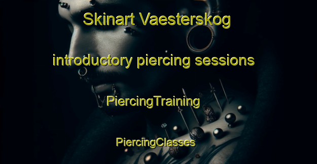 Skinart Vaesterskog introductory piercing sessions | PiercingTraining | PiercingClasses | SkinartTraining-Finland