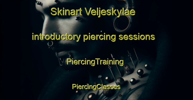 Skinart Veljeskylae introductory piercing sessions | #PiercingTraining #PiercingClasses #SkinartTraining-Finland