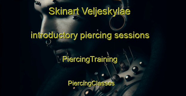 Skinart Veljeskylae introductory piercing sessions | PiercingTraining | PiercingClasses | SkinartTraining-Finland