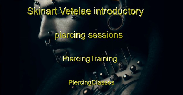 Skinart Vetelae introductory piercing sessions | #PiercingTraining #PiercingClasses #SkinartTraining-Finland