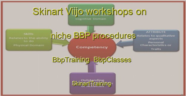 Skinart Viijo workshops on niche BBP procedures | BbpTraining | BbpClasses | SkinartTraining-Finland