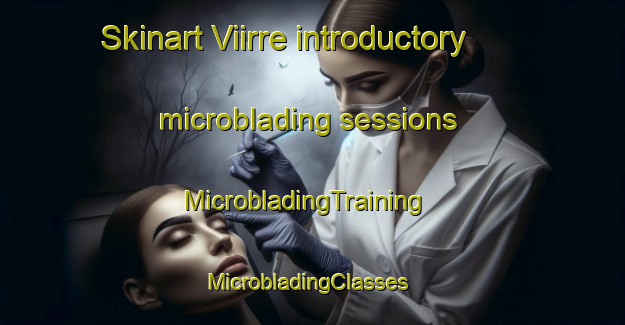 Skinart Viirre introductory microblading sessions | MicrobladingTraining | MicrobladingClasses | SkinartTraining-Finland