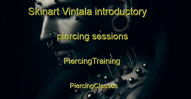 Skinart Vintala introductory piercing sessions | PiercingTraining | PiercingClasses | SkinartTraining-Finland
