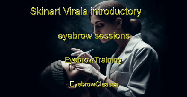 Skinart Virala introductory eyebrow sessions | EyebrowTraining | EyebrowClasses | SkinartTraining-Finland