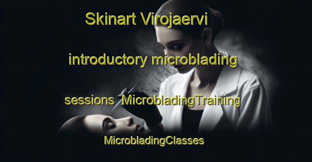 Skinart Virojaervi introductory microblading sessions | MicrobladingTraining | MicrobladingClasses | SkinartTraining-Finland