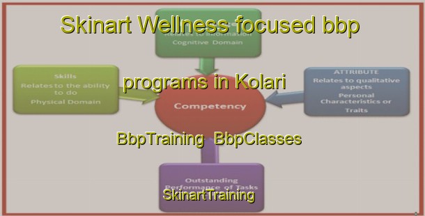 Skinart Wellness-focused bbp programs in Kolari | BbpTraining | BbpClasses | SkinartTraining-Finland