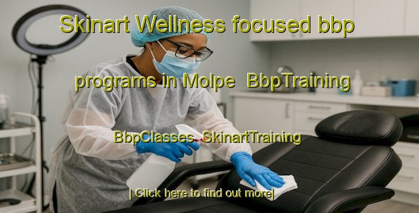 Skinart Wellness-focused bbp programs in Molpe | BbpTraining | BbpClasses | SkinartTraining-Finland