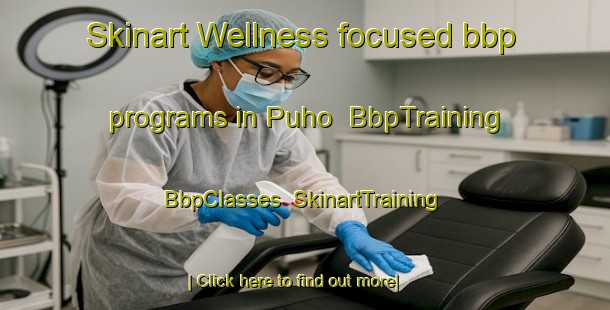Skinart Wellness-focused bbp programs in Puho | BbpTraining | BbpClasses | SkinartTraining-Finland