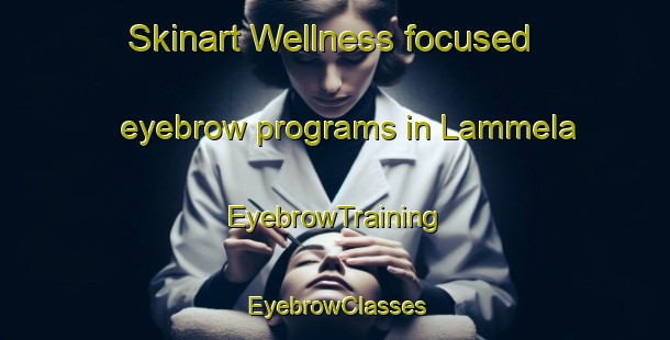 Skinart Wellness-focused eyebrow programs in Lammela | EyebrowTraining | EyebrowClasses | SkinartTraining-Finland