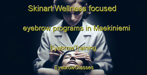 Skinart Wellness-focused eyebrow programs in Maekiniemi | EyebrowTraining | EyebrowClasses | SkinartTraining-Finland