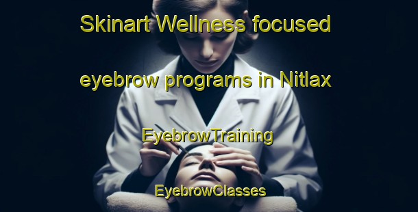 Skinart Wellness-focused eyebrow programs in Nitlax | EyebrowTraining | EyebrowClasses | SkinartTraining-Finland