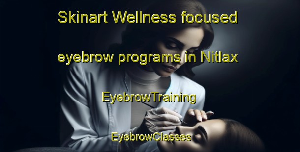 Skinart Wellness-focused eyebrow programs in Nitlax | EyebrowTraining | EyebrowClasses | SkinartTraining-Finland