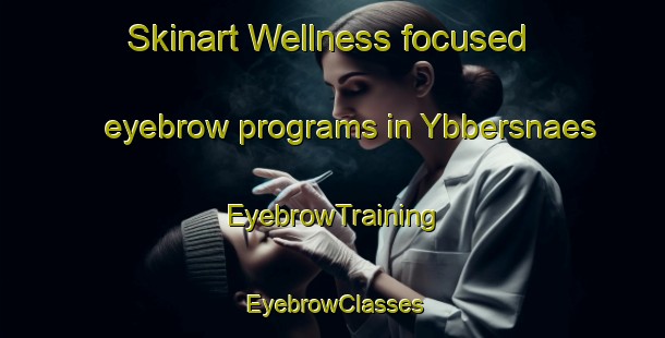 Skinart Wellness-focused eyebrow programs in Ybbersnaes | EyebrowTraining | EyebrowClasses | SkinartTraining-Finland