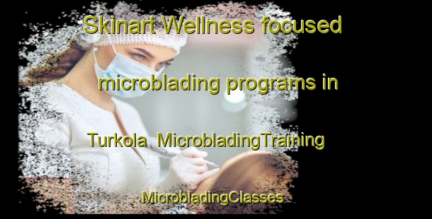 Skinart Wellness-focused microblading programs in Turkola | MicrobladingTraining | MicrobladingClasses | SkinartTraining-Finland