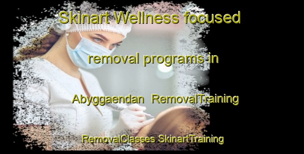 Skinart Wellness-focused removal programs in Abyggaendan | #RemovalTraining #RemovalClasses #SkinartTraining-Finland