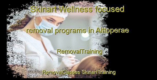 Skinart Wellness-focused removal programs in Aittoperae | #RemovalTraining #RemovalClasses #SkinartTraining-Finland