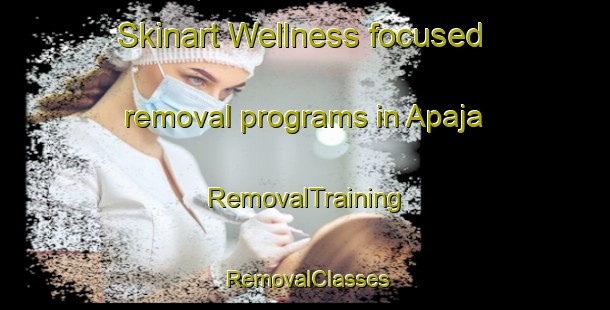 Skinart Wellness-focused removal programs in Apaja | RemovalTraining | RemovalClasses | SkinartTraining-Finland