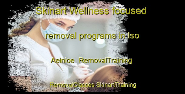 Skinart Wellness-focused removal programs in Iso Aeinioe | #RemovalTraining #RemovalClasses #SkinartTraining-Finland