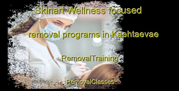 Skinart Wellness-focused removal programs in Kaehtaevae | RemovalTraining | RemovalClasses | SkinartTraining-Finland