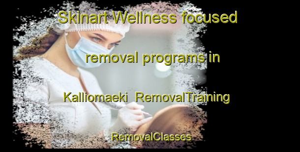 Skinart Wellness-focused removal programs in Kalliomaeki | RemovalTraining | RemovalClasses | SkinartTraining-Finland