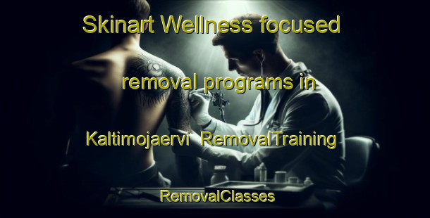 Skinart Wellness-focused removal programs in Kaltimojaervi | RemovalTraining | RemovalClasses | SkinartTraining-Finland