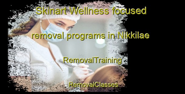 Skinart Wellness-focused removal programs in Nikkilae | RemovalTraining | RemovalClasses | SkinartTraining-Finland