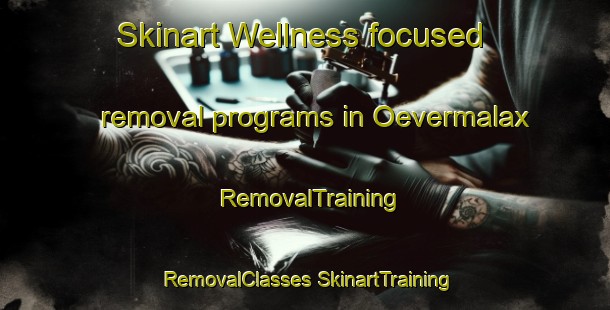 Skinart Wellness-focused removal programs in Oevermalax | #RemovalTraining #RemovalClasses #SkinartTraining-Finland