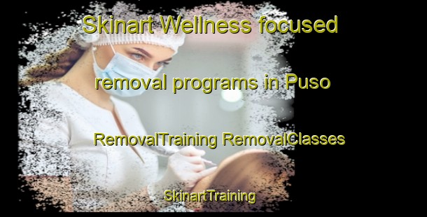 Skinart Wellness-focused removal programs in Puso | #RemovalTraining #RemovalClasses #SkinartTraining-Finland