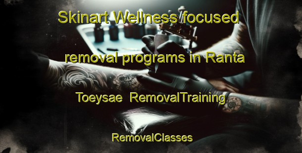 Skinart Wellness-focused removal programs in Ranta Toeysae | RemovalTraining | RemovalClasses | SkinartTraining-Finland