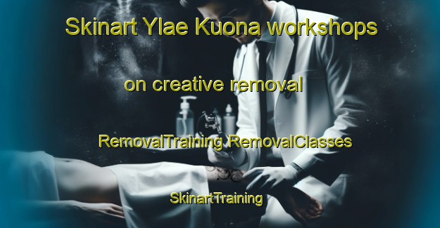 Skinart Ylae Kuona workshops on creative removal | #RemovalTraining #RemovalClasses #SkinartTraining-Finland